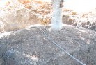 Cedar Brush Creektree-transplanting-4.jpg; ?>